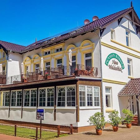 Pension Haus Waldesblick Graal-Mueritz Εξωτερικό φωτογραφία